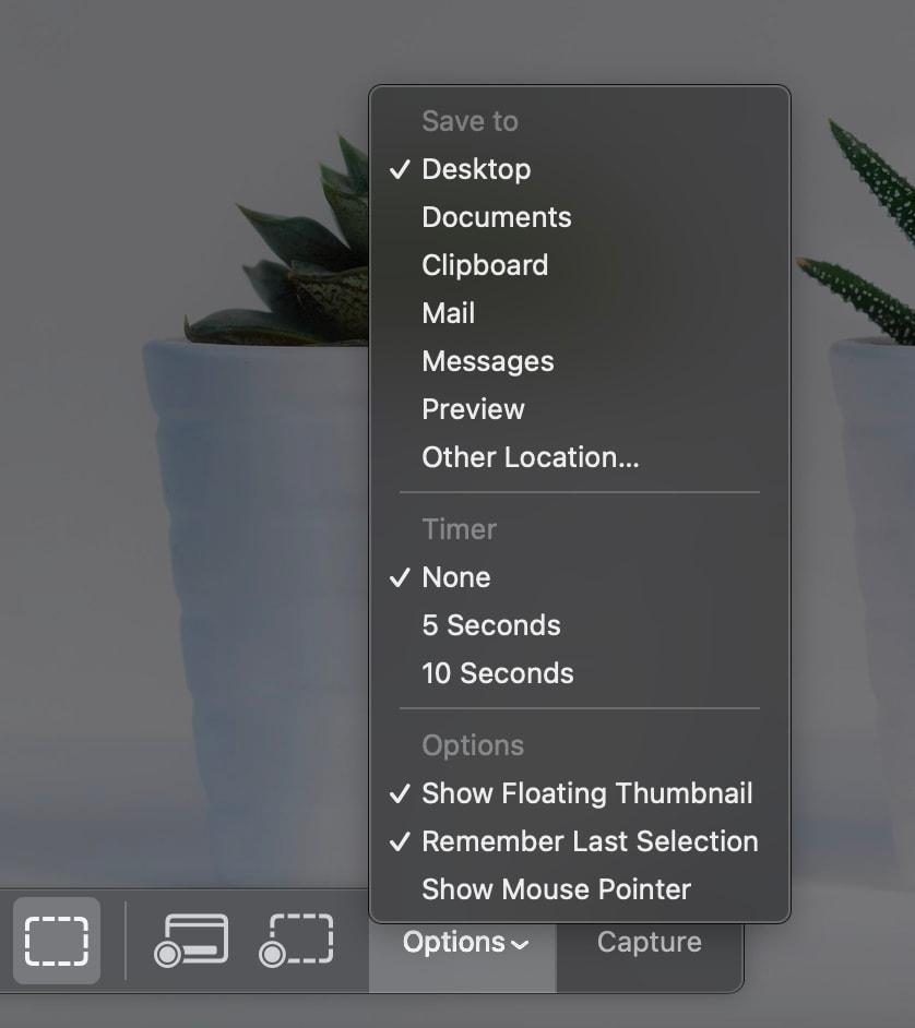 Screenshot app menu